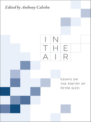 cover image of In the Air